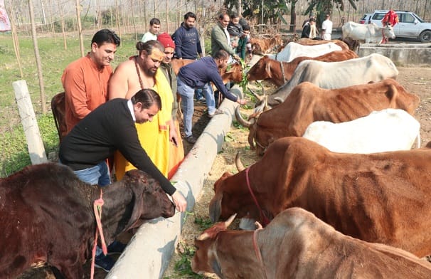 Makar Sankranti celebrated by donating with a spirit of service