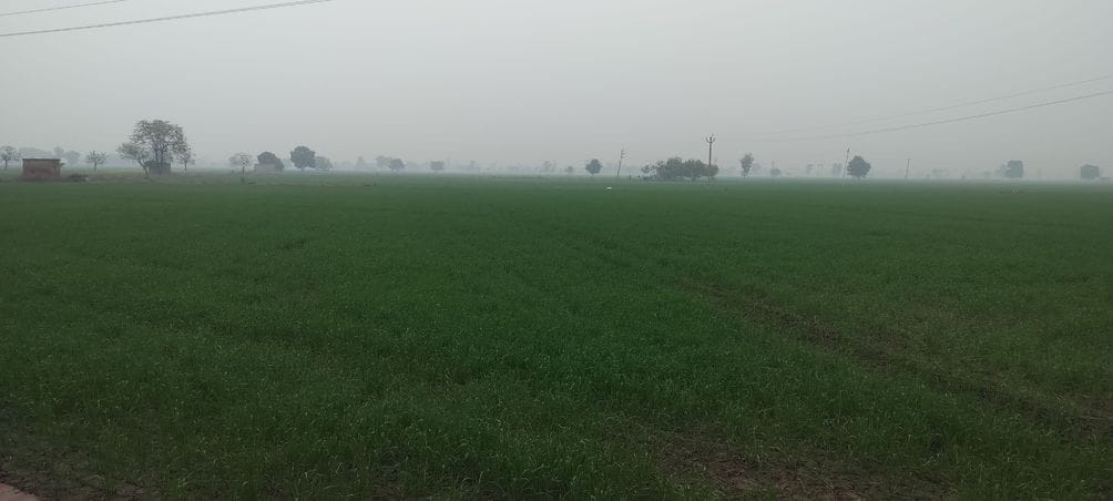Chilliness increased due to drizzle, clouds kept blocking the path of the sun