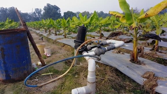 If water drips drop by drop, moisture will remain in the field and production will also increase.