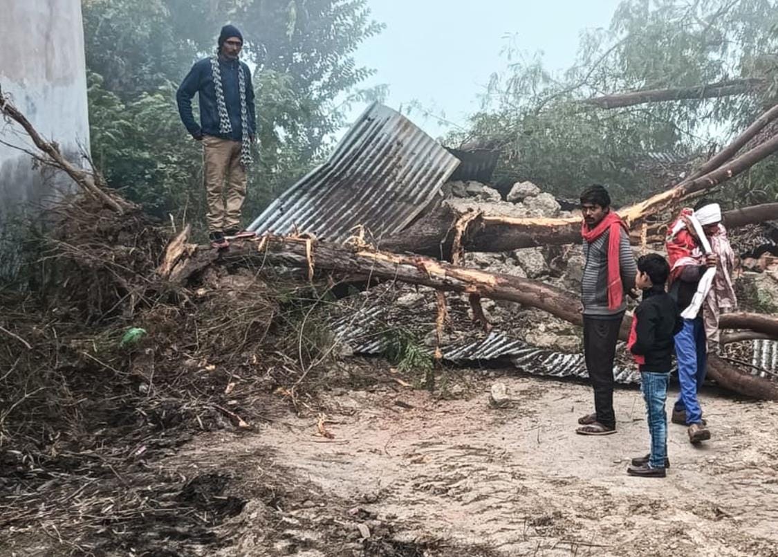 JCB collapses tube well chamber over land dispute, uproots green trees