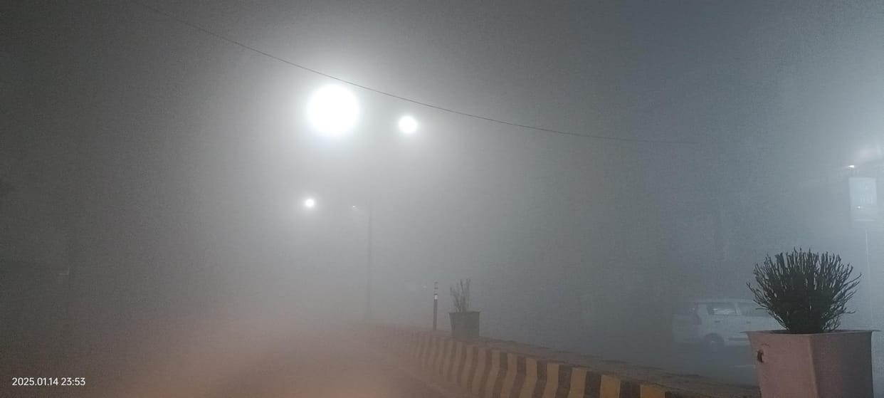Dense fog and frost, schools up to class VIII closed