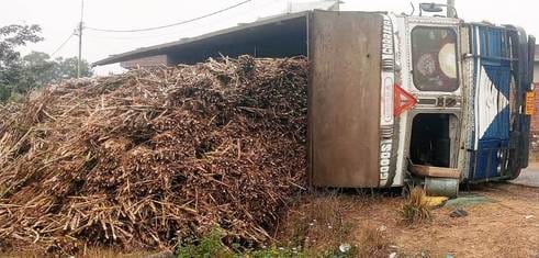 Overloaded truck filled with sugarcane overturns, driver injured