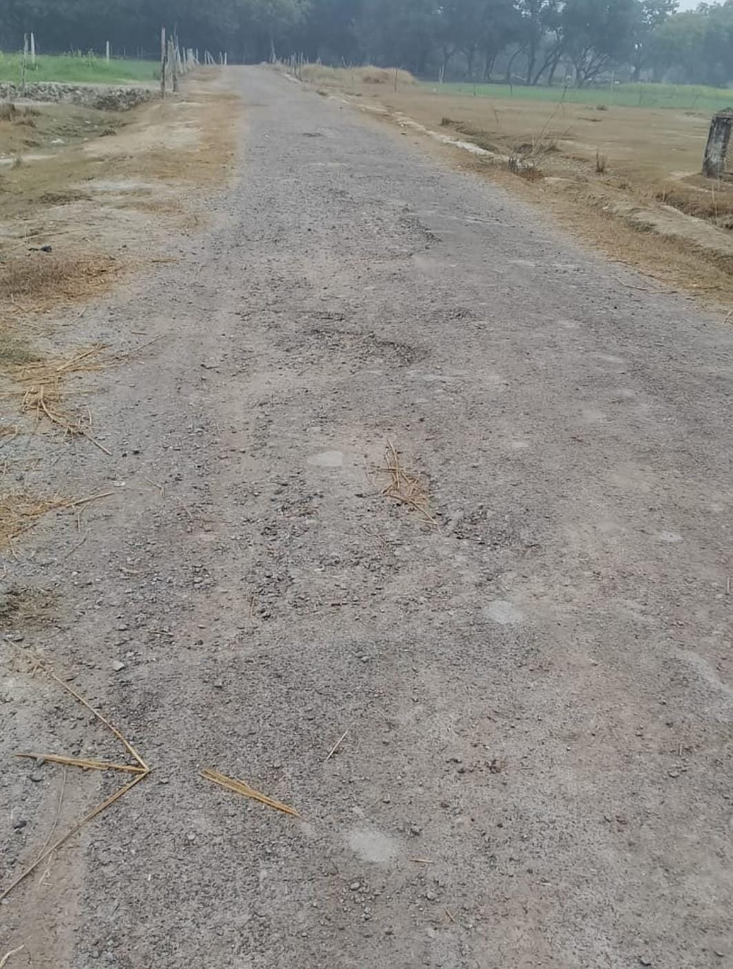 Neemi-Rajapur Ghosian connecting road will be reconstructed with Rs 29 lakh