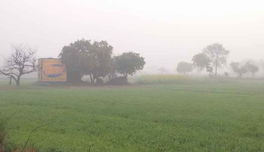 Jammu: Temperature drops due to rain; Relief to farmers, problems for students and pedestrians