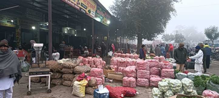 Cultivation of cauliflower is proving to be a loss making deal