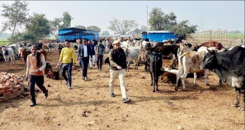 Dirt found in cowshed, action will be taken against secretary and head