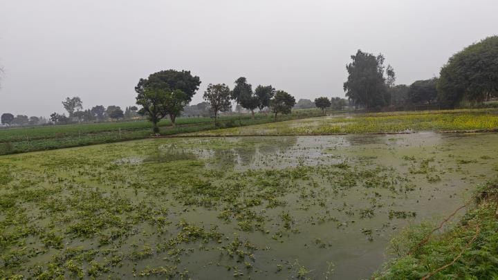 Obstruction created in Jal Nigam in measuring the slope of drains