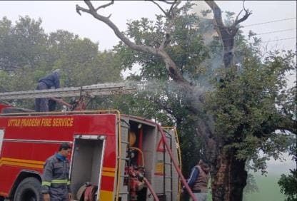 Tree caught fire due to HT line, chaos