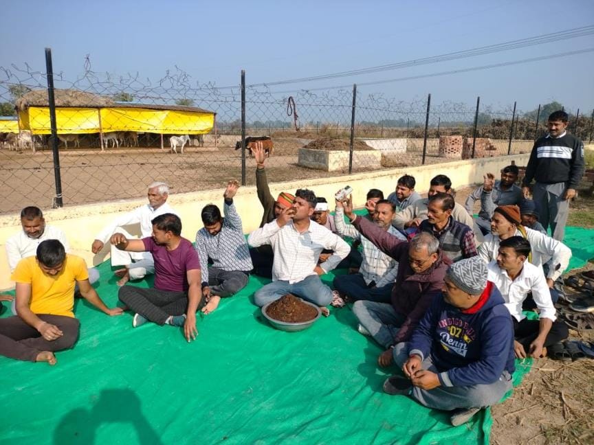 Angry villagers ate cow dung in front of the cow shed