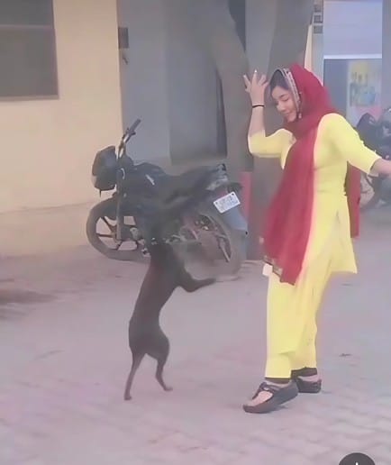 Clip of girl dancing with dog in government premises goes viral