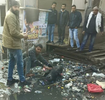 Cow fell into drain near Budhana Gate police post