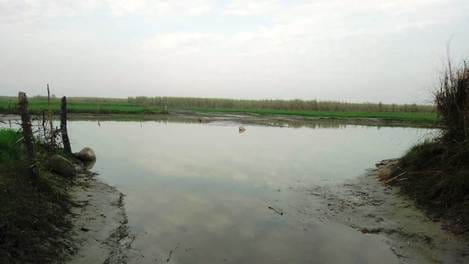 Farmers are bringing their crops by covering 21 kilometer distance instead of three.