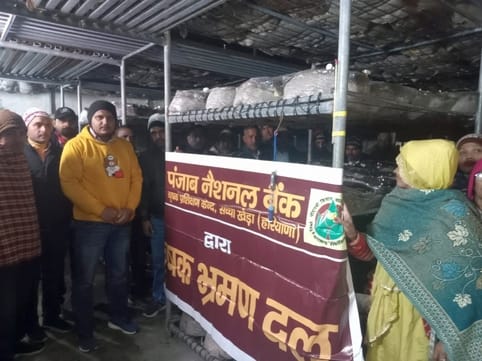 Information about mushroom production given to trainees