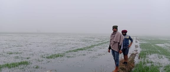 30 acres of crops submerged due to breaking of canal, farmers angry
