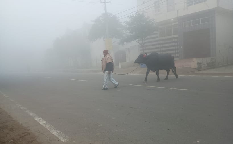 The fog in the morning increased the trouble, but the sunshine during the day brought relief