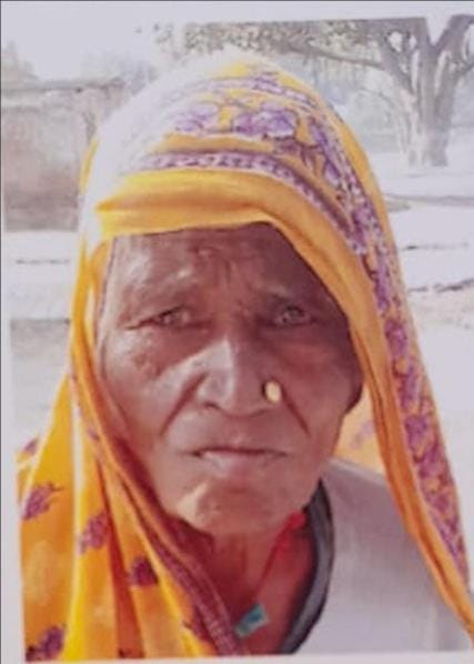 An old woman crossing the road was run over by a truck.