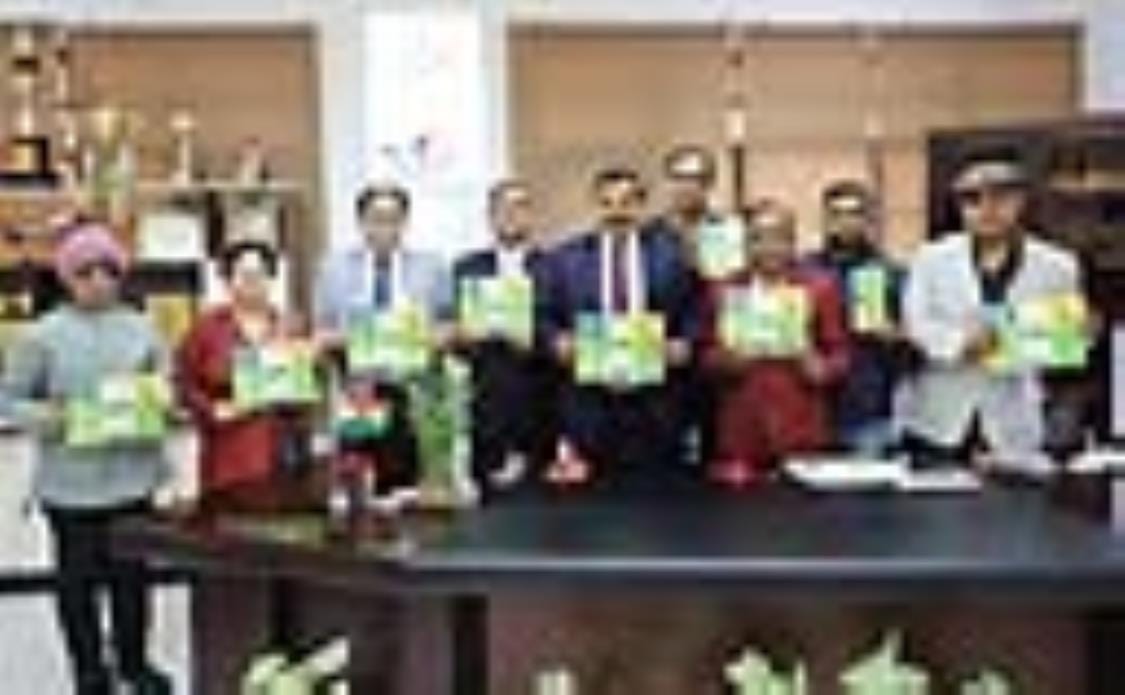 Brochure of International Conference released