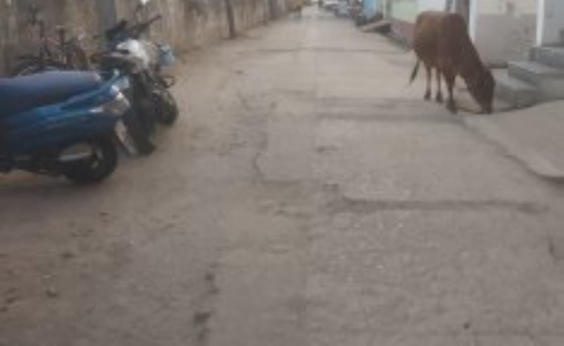 Government Mahila School link road will be constructedGovernment Mahila School link road will be constructed soon soon