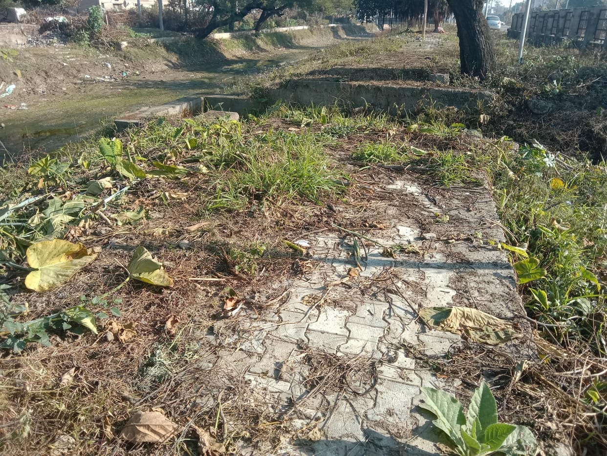 Path way Incomplete