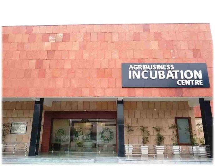 HAU's ABIC centre is giving wings to the dreams of youth through startups, PM Modi mentioned Hisar on startups in Mann Ki Baat