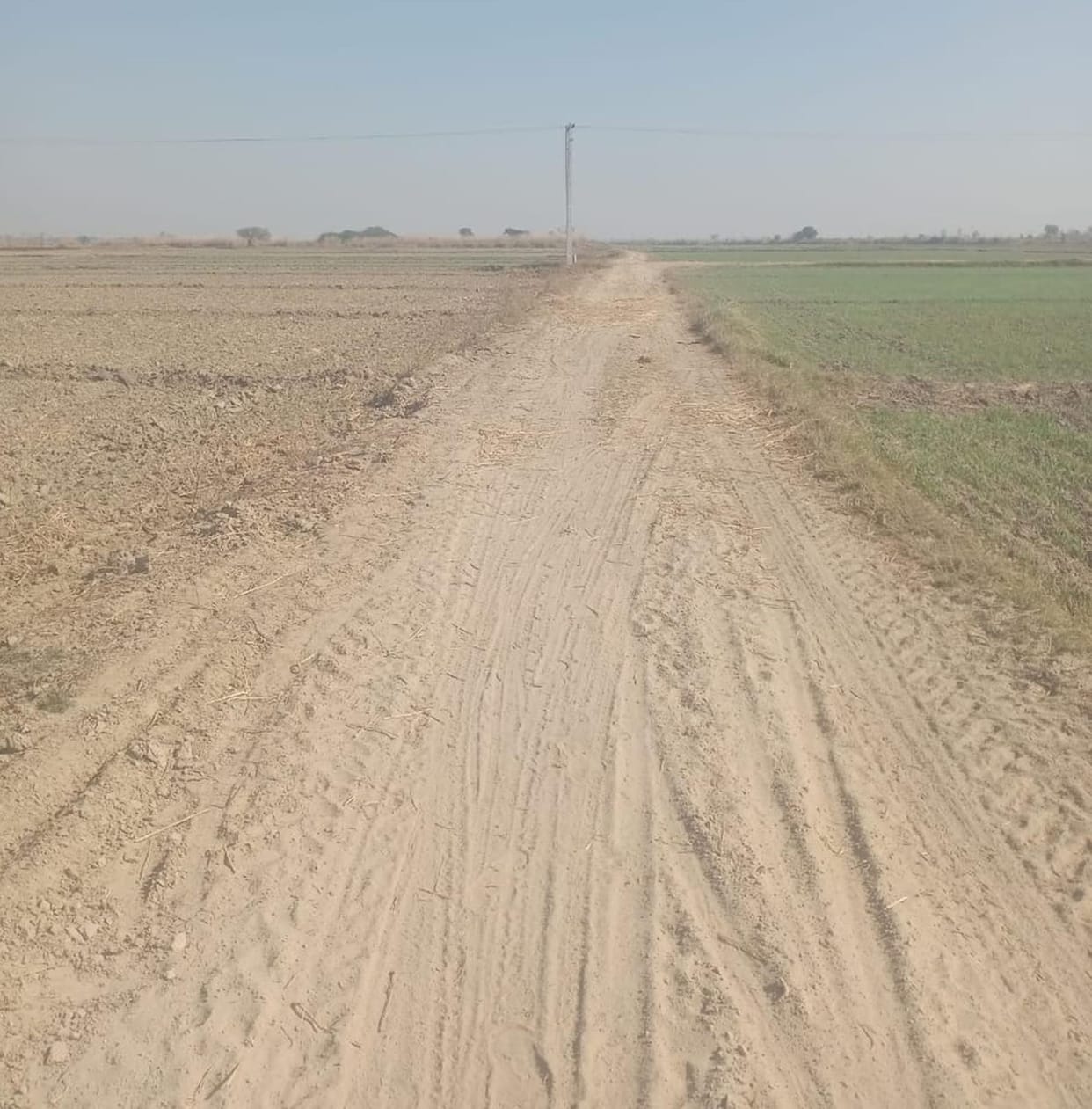 Approval for paving the road was received in just 35 days