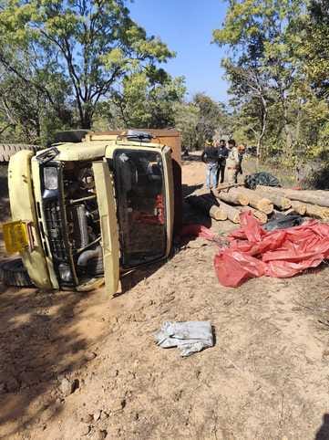 Forest department caught people who were cutting teak from the forest and bringing it back