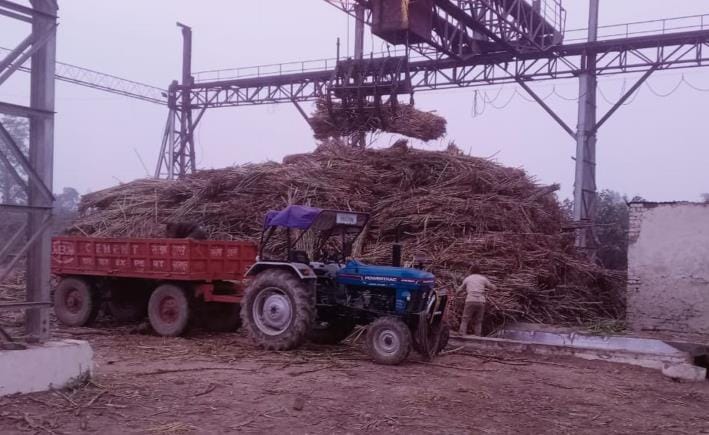 Sugar mills of Bareilly division owe farmers more than Rs 616 crore