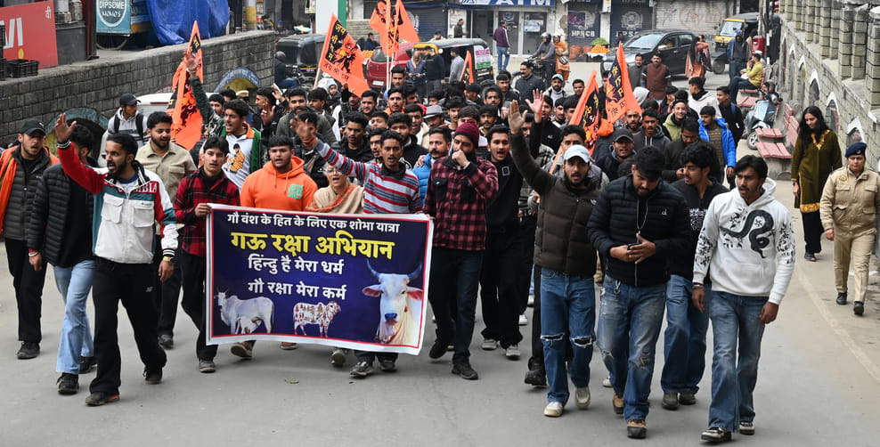 Rally taken out to protect cows