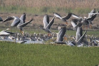 International Picnic Day 2025 have a picnic at these offbeat places