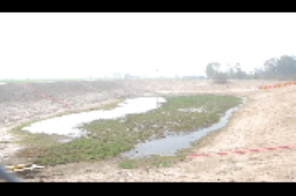 Amrit Sarovar built at a cost of lakhs is drying up due to the negligence of the Gram Panchayats