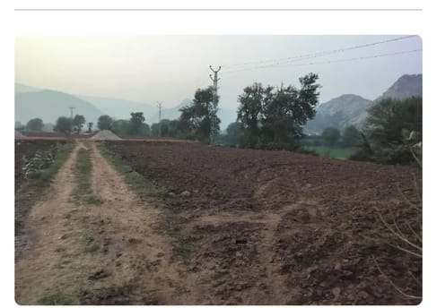Alwar News: Land mafias occupy the downstream area of Silisedh, Irrigation Department issued notice