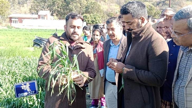Farmers should increase their income by adopting diversity in agriculture: DC