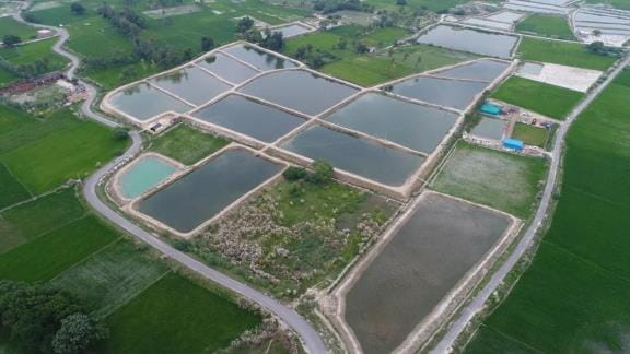 Fishery KCC: 543 Farmers Applied for Loans, Only 73 Approved; Five Banks Had No Applications