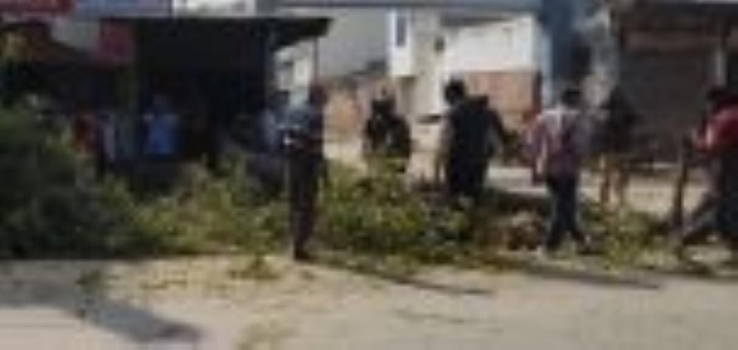 Forest department team arrested an accused of cutting green trees