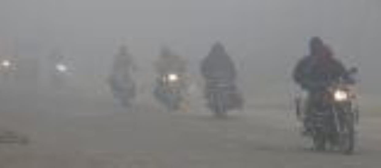 Westerly wind blows amidst dense fog, Terai area shivers with cold