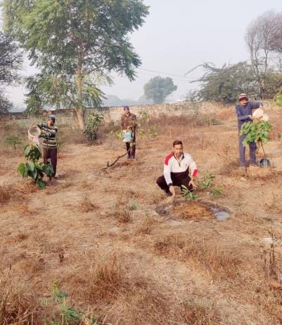 When people objected to the lack of greenery, we started Green Mission