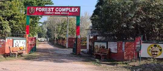 357 acres of land was freed from encroachment in four years, now the forest area has increased
