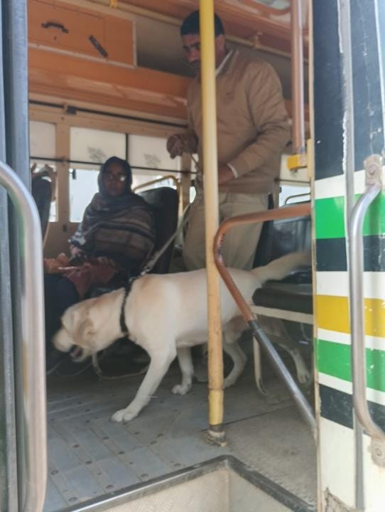 Traffic police checked 60 school buses and vans, found 10 unfit