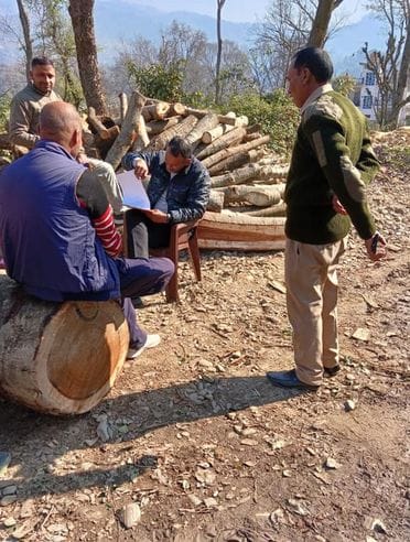 30 tonnes of Balan wood seized in Balh, forest department team engaged in investigation