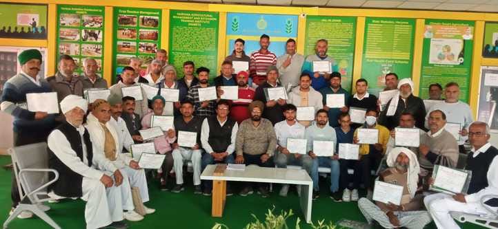 Taught 40 farmers in Hameti how to do natural farming