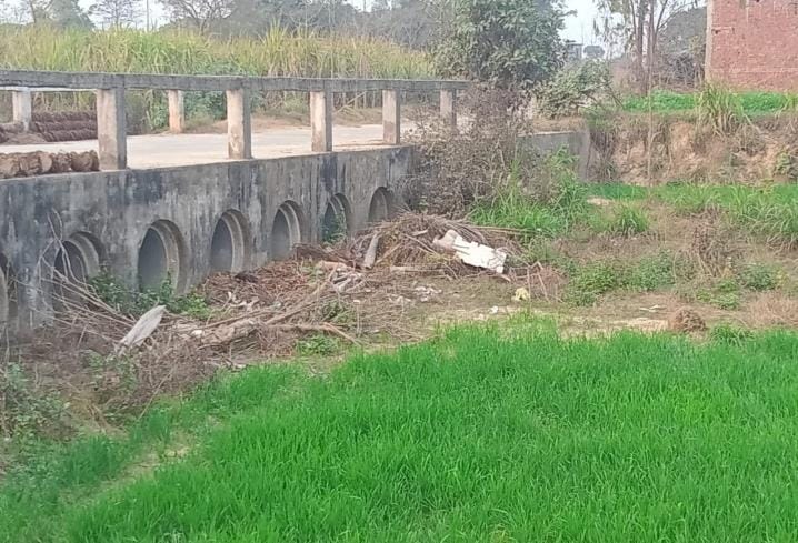 Crop instead of water in Ban, team arrived to conduct survey
