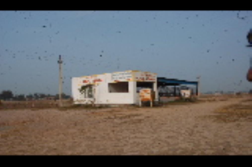 The cattle fair was closed for a month but could not be started even after 20 months