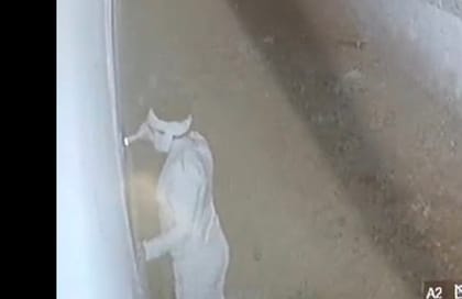 CCTV Exposes Theft at Medical Store: Kiosk Operator Booked in Agra
