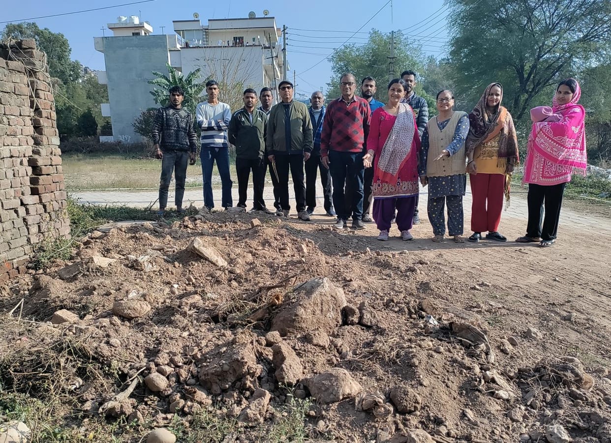 Lots of potholes, saplings planted on the roads, still no solution