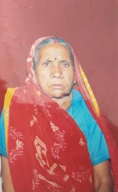 Old woman dies after being hit by Bolero