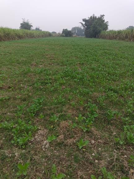 Natural farming will be done on 2200 bighas along the Saryu river