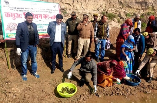 212 turtles released in Ramganga, pledged to protect them