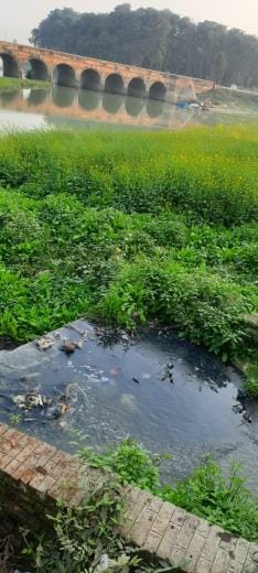 Land not available to clean Aami