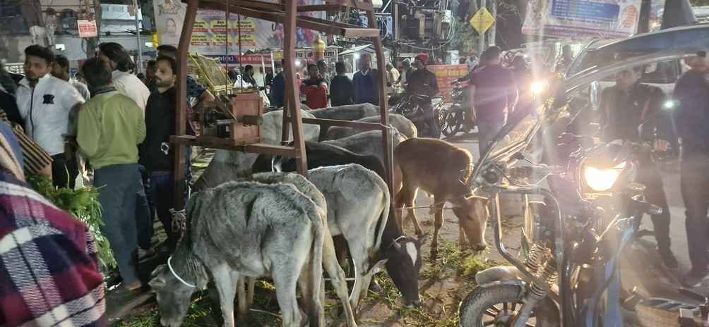 VHP-Bajrang Dal protested against cow smuggling in damoh