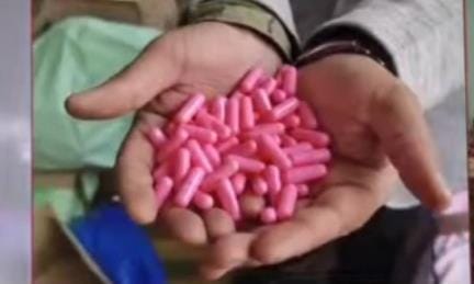 17,760 banned capsules seized in Bijnor, accused arrested